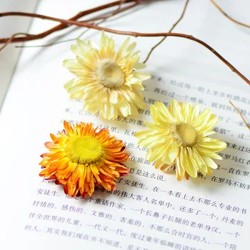 3-5 cm/50pcs,Naravno Sušene chrysanthemum flower glave,obirajo ročno Eternell daisy za Poročno Dekoracijo doma,DIY poskrbi cvet
