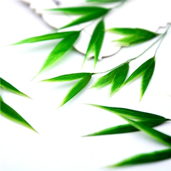 5-8 cm/16pcs,Naravne Pritisnete Zeleni listi Bambusa,Večno Pravega Bambusa za DIY Zaznamek darilno Kartico,sveča božični okraski