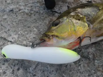 HuntHouse predator ribolov vab cast svinčnik ribolov Svinčnik ulov Bas Ščuka vab Noro kača glavo predenje površine darter